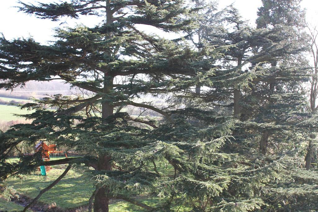 Château de la Folie Trie-Château Cameră foto